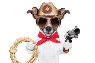 kovboy köpek