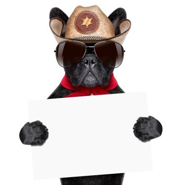 kovboy köpek