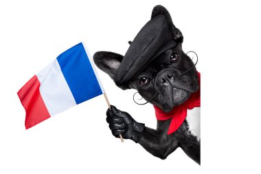 köpek Fransız