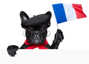 köpek Fransız