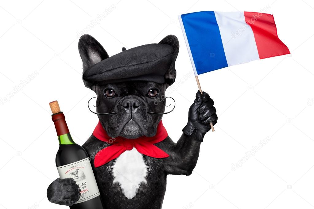 french dog