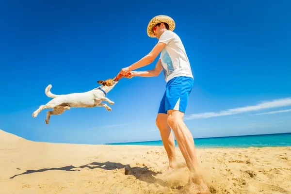 Hund frisbee — Stockfoto