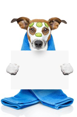 Güzellik maskeli bir köpek