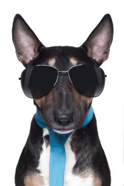 serin boğa korkunç köpek 