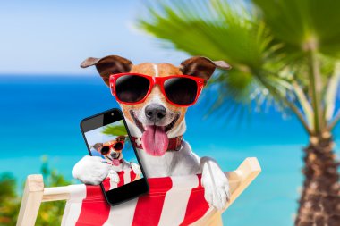 Yaz selfie köpek 