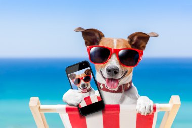 Yaz selfie köpek 