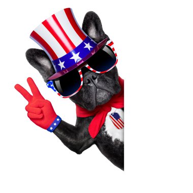Amerikan köpek