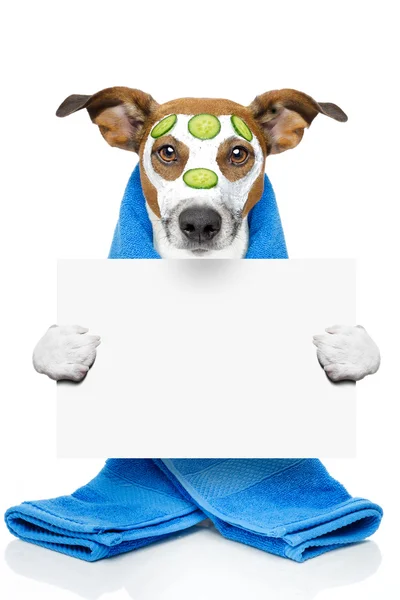 Cão com uma máscara de beleza — Fotografia de Stock