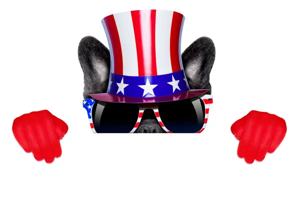 Amerikaanse hond — Stockfoto