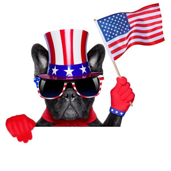 Amerikanen hund — Stockfoto