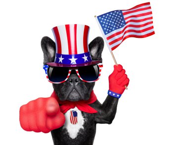 Amerikan köpek