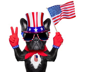 Amerikan köpek