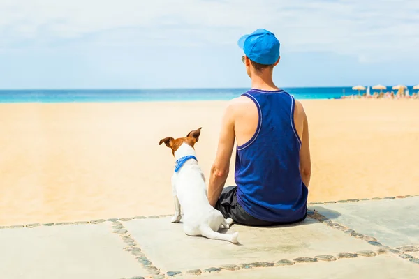 Köpek ve Sahibi — Stok fotoğraf