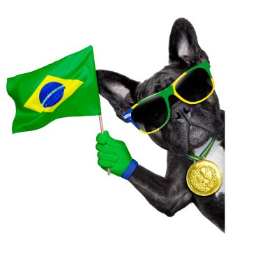 Brezilya futbol köpek  