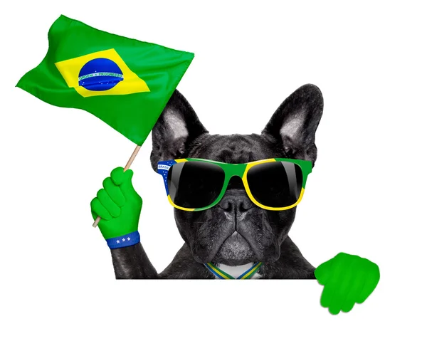 Brasilianischer Fußballhund — Stockfoto