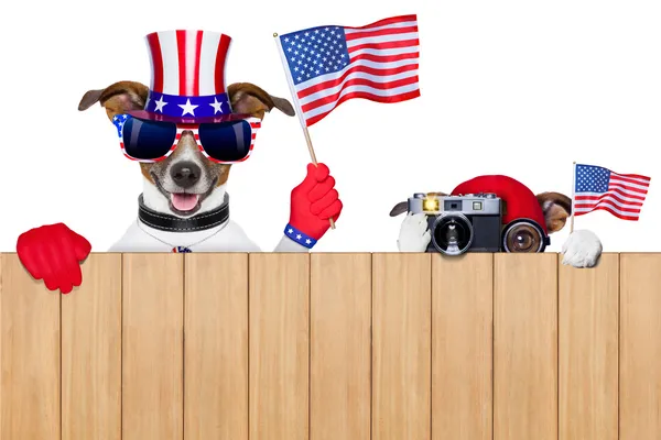 Amerikanische Hunde — Stockfoto