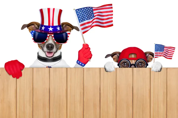 Amerikanische Hunde — Stockfoto