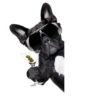 Martini köpek