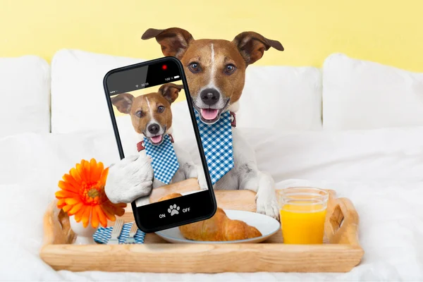 Selfie na cama — Fotografia de Stock