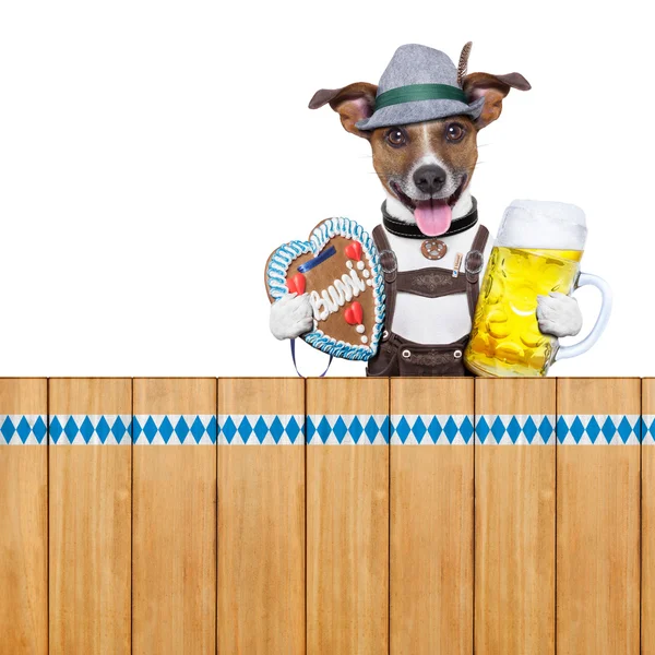 Bavarian beer dog — Stock Photo, Image