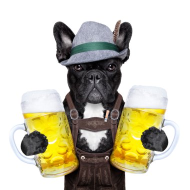 Bavyera köpek 