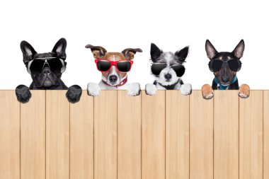 big row of dogs clipart