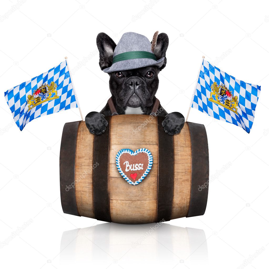 bavarian dog 