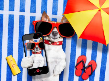 köpek selfie tatil 