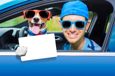 köpek araba penceresi 