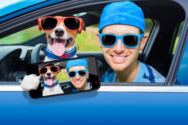 köpek araba penceresi 