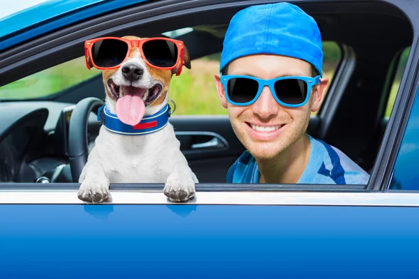Dog car window — Stock Photo, Image
