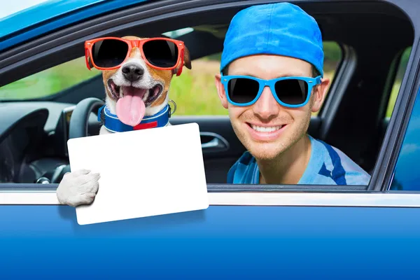 Dog car window — Stock Photo, Image