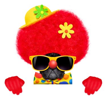 aptal palyaço köpek