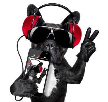 DJ köpek 
