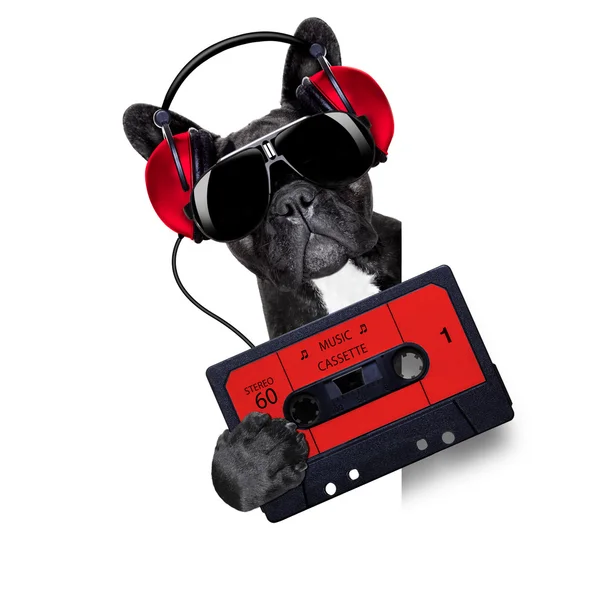 Hund musik kassett — Stockfoto