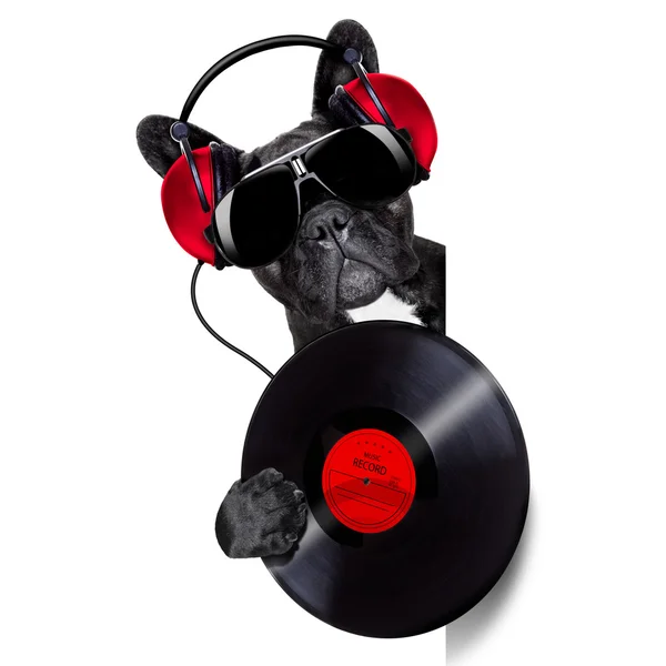 Hund rekord vinyl — Stockfoto