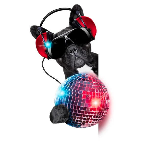 DJ kutya — Stock Fotó