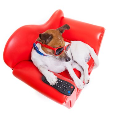 TV köpek 