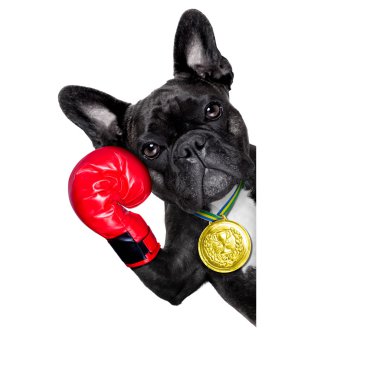 aktif spor köpek