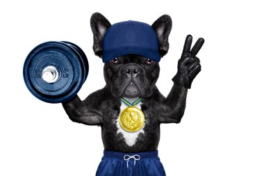 aktif spor köpek