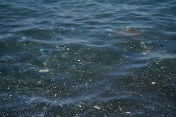 Superfície Água Que Monte Detritos Plástico Flutua Foto Alta Qualidade — Fotografia de Stock