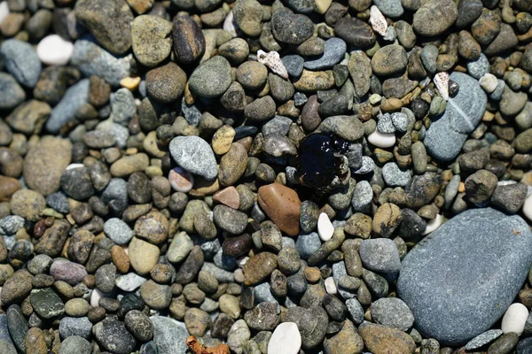 Close Uma Parte Praia Com Areia Muita Poluição Microplástica Foto — Fotografia de Stock