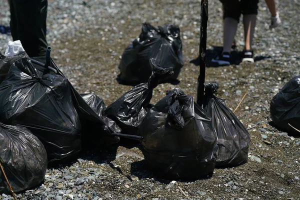 Bolsas Basura Recogida Playa Para Reciclaje Limpieza Playa Contaminación Foto Imágenes de stock libres de derechos