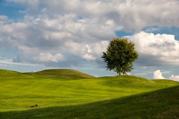 On the golf course — Stock Photo, Image