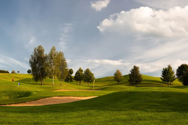 Na polu golfowym. — Zdjęcie stockowe