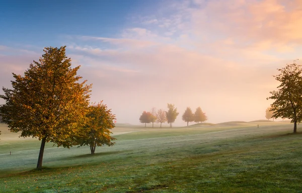 A golfpályán. — Stock Fotó