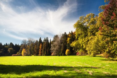 Bahçe park