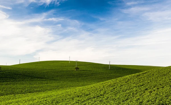Die grünen Hügel — Stockfoto