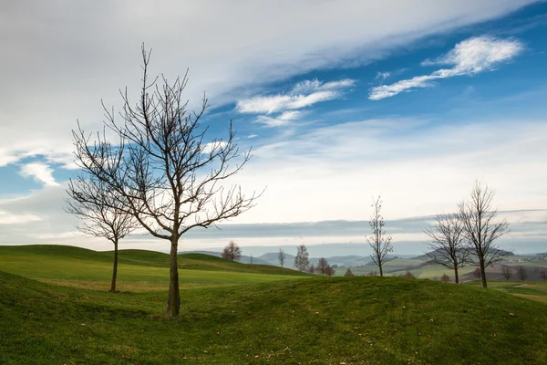 Golfbana — Stockfoto