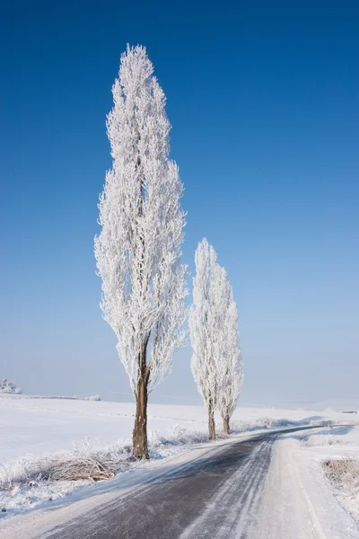 På tomma vägen — Stockfoto